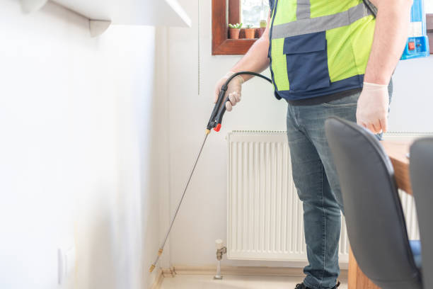 Best Pest Prevention Services  in Pink, OK