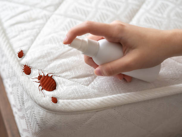 Best Best Pest Control Companies  in Pink, OK